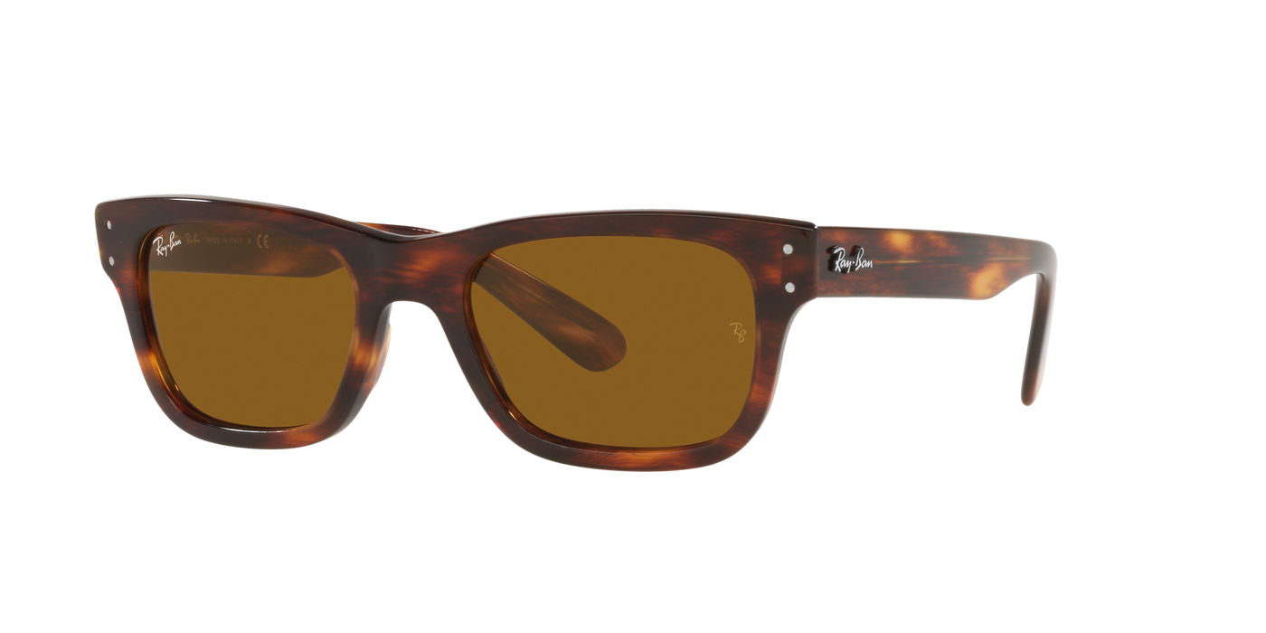 Anteojos de sol Ray-Ban Mr Burbank RB2283, TRT SHN, BRN