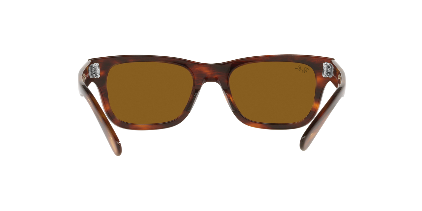 Anteojos de sol Ray-Ban Mr Burbank RB2283, TRT SHN, BRN