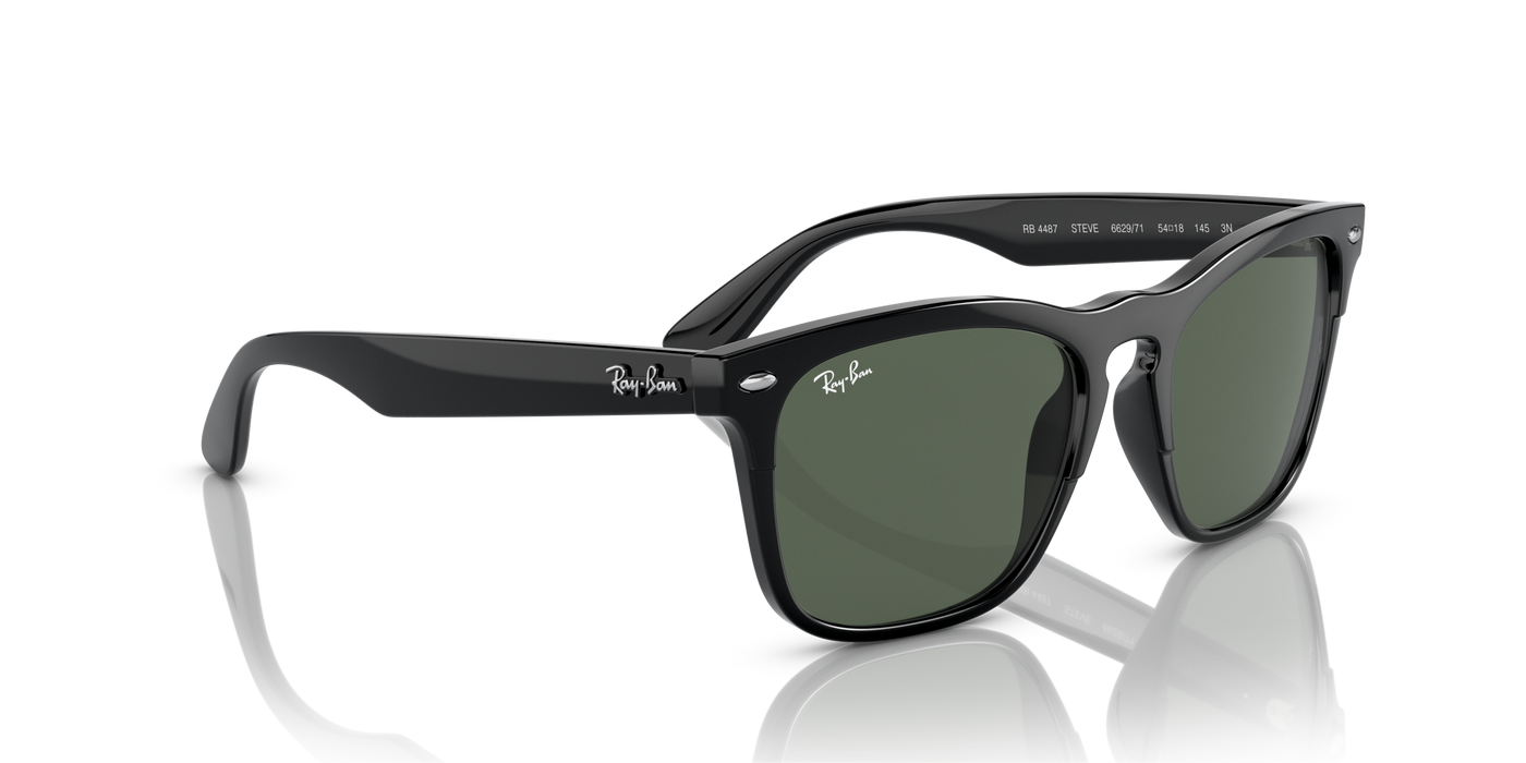 Anteojos de sol Ray-Ban Steve RB4487 , BLK SHN, GRN