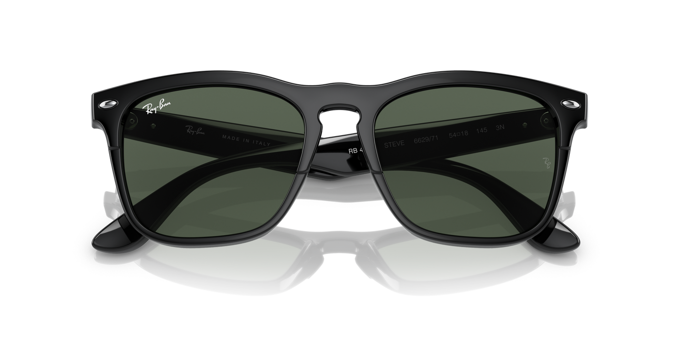 Anteojos de sol Ray-Ban Steve RB4487 , BLK SHN, GRN