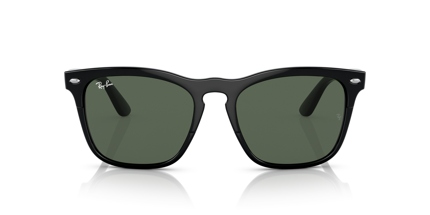 Anteojos de sol Ray-Ban Steve RB4487 , BLK SHN, GRN