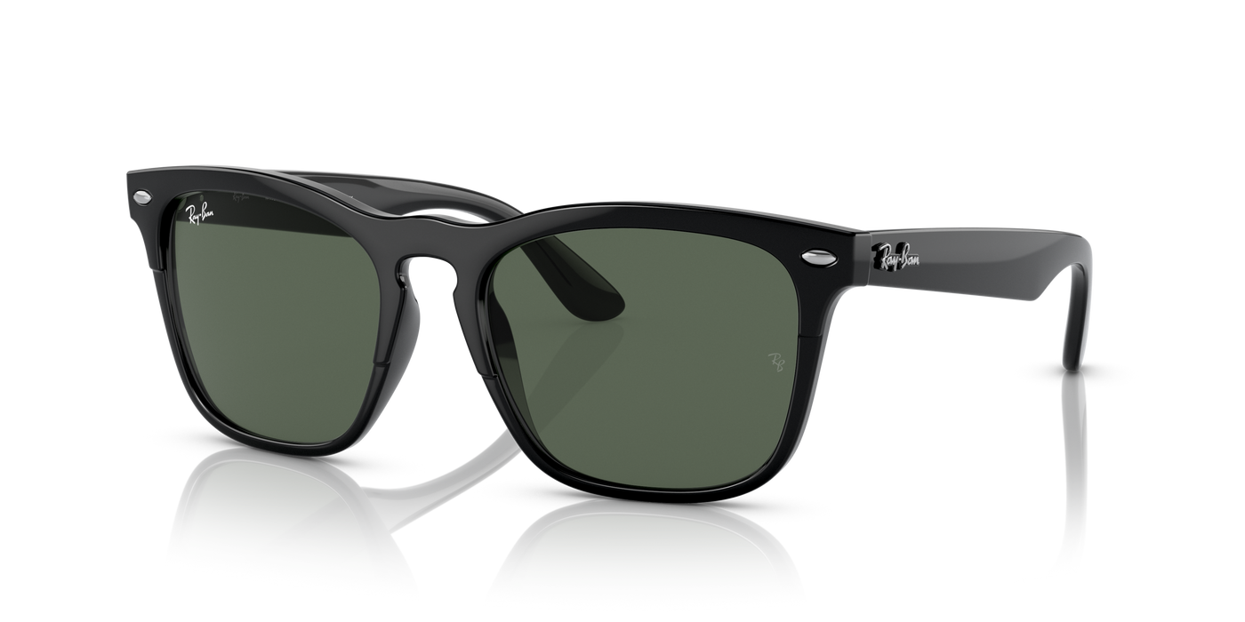 Anteojos de sol Ray-Ban Steve RB4487 , BLK SHN, GRN