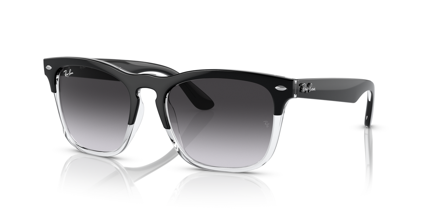 Anteojos de sol Ray-Ban Steve RB4487, BLK SHN, BLU G